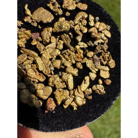 Gold Nuggets from California - 4.36 grams - Picture 4 of 6